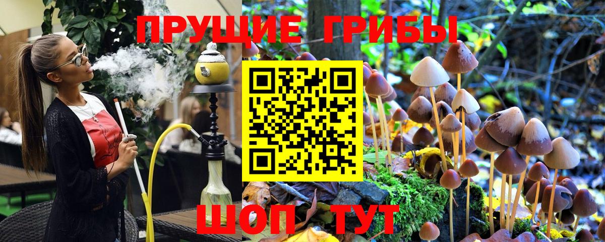 Галлюциногенные грибы прущие грибы  Вход с VPN  Нурлат  Псилоцибиновые грибы Cubensis 